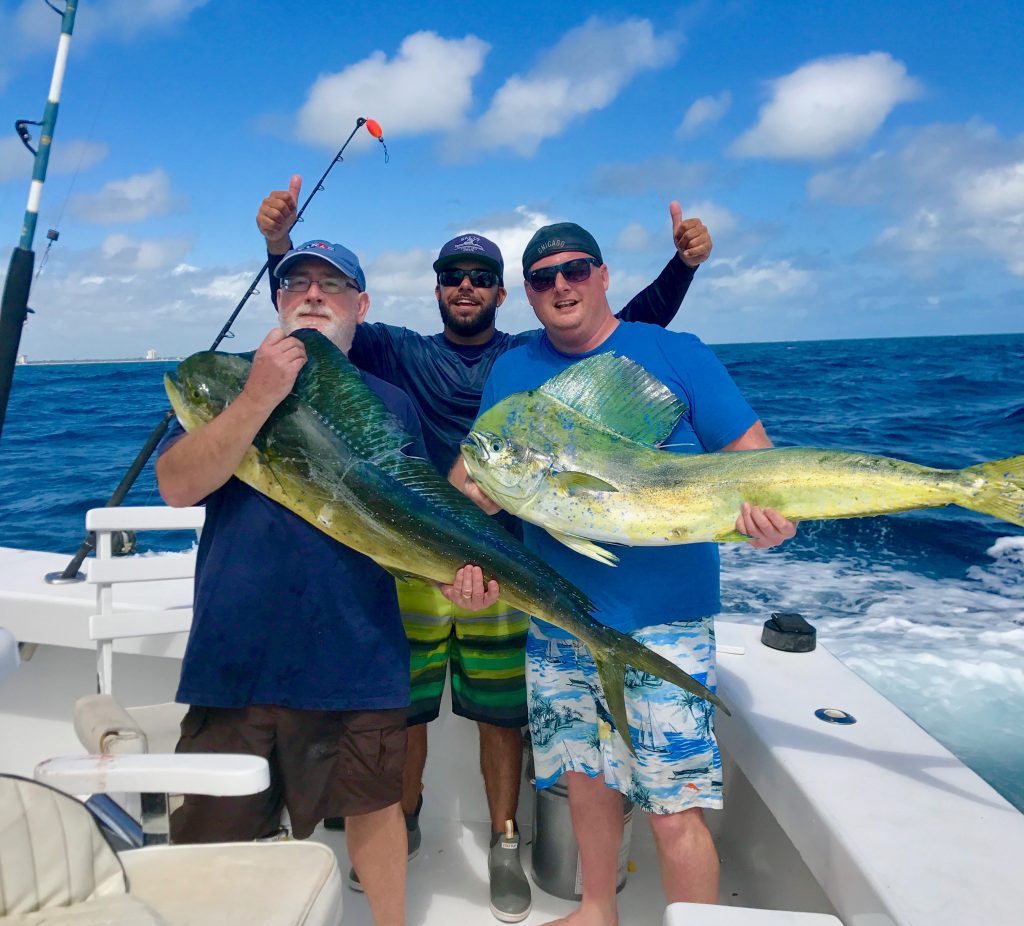 Couple happy anglers with some 20 plus pound dolphins just caught.