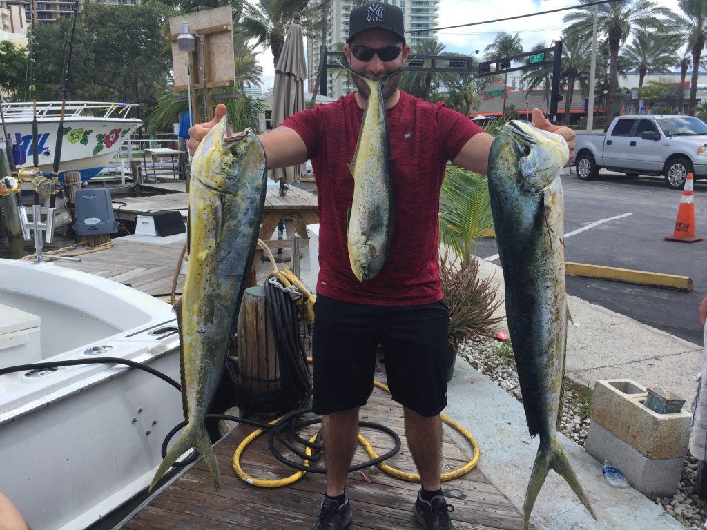 Guy holding 3 dolphin at the dock, one is being held by his mouth