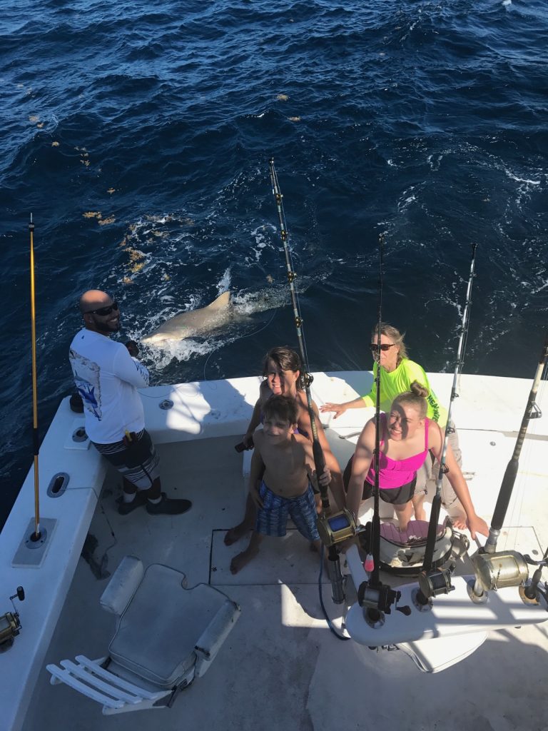 Nice lemon shark next to the boat during our shark fishing charter in Fort Lauderdale