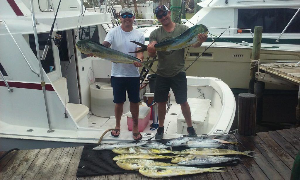 Nice dolphin catch on our sportfishing charter, back at the dock