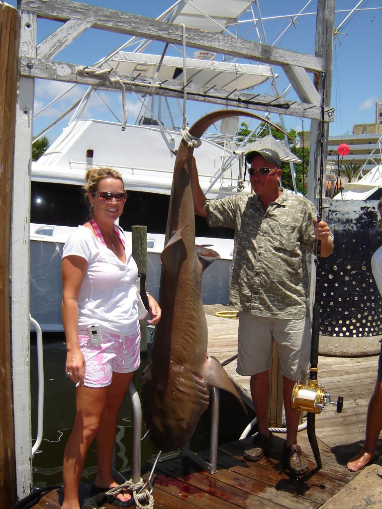 Nice shark hanging next to 2 anglers who caught it.