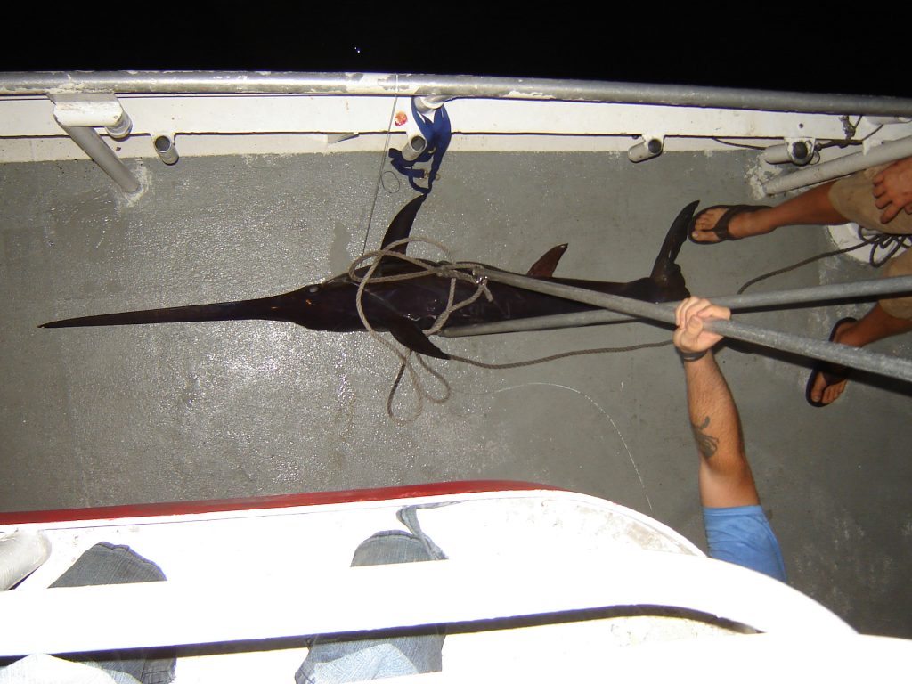 Swordfish on the deck of the Catch My Drift, our second one of the night.