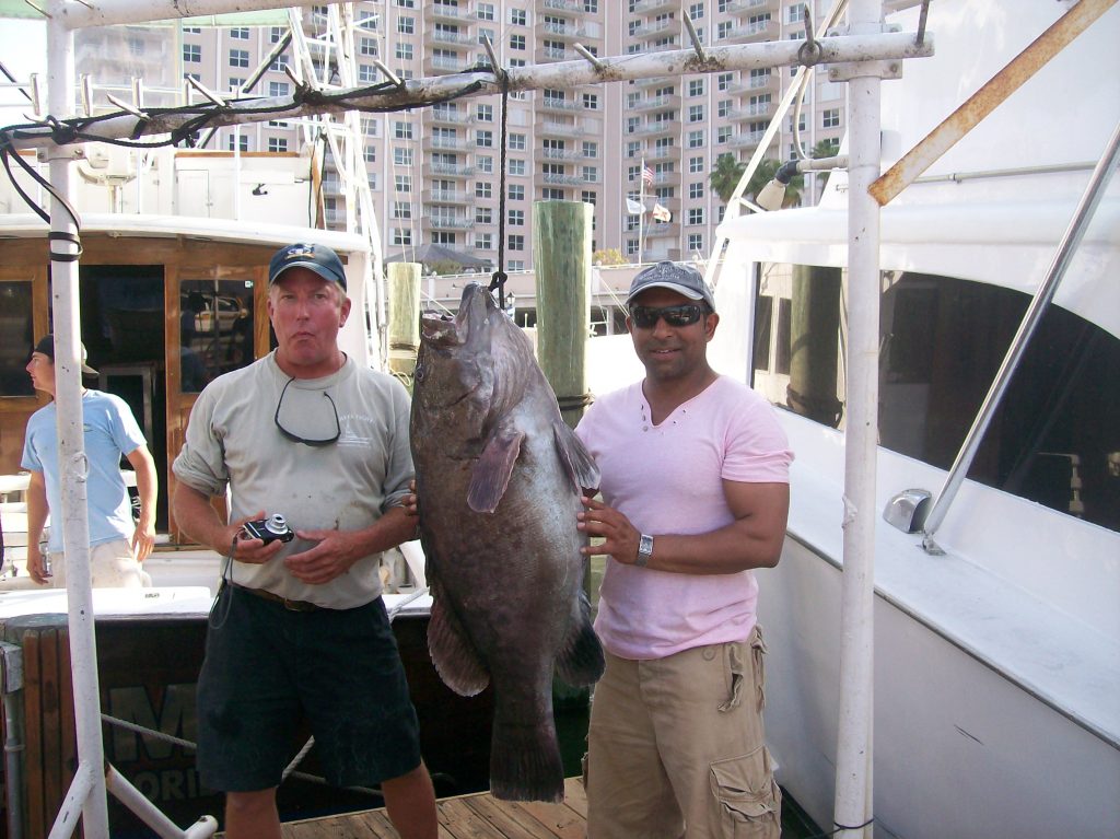 Nice grouper hanging on the rack