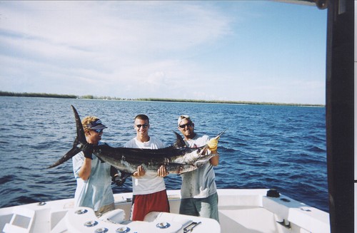 Nice marlin being held on the boat