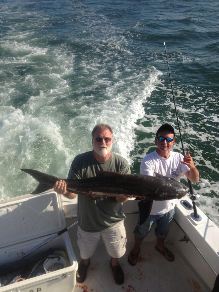 Cobia just caught in Ft Lauderdale