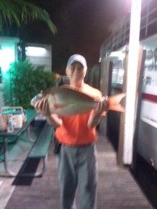 Mutton snapper