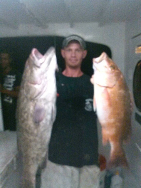 Nice grouper and snapper at night