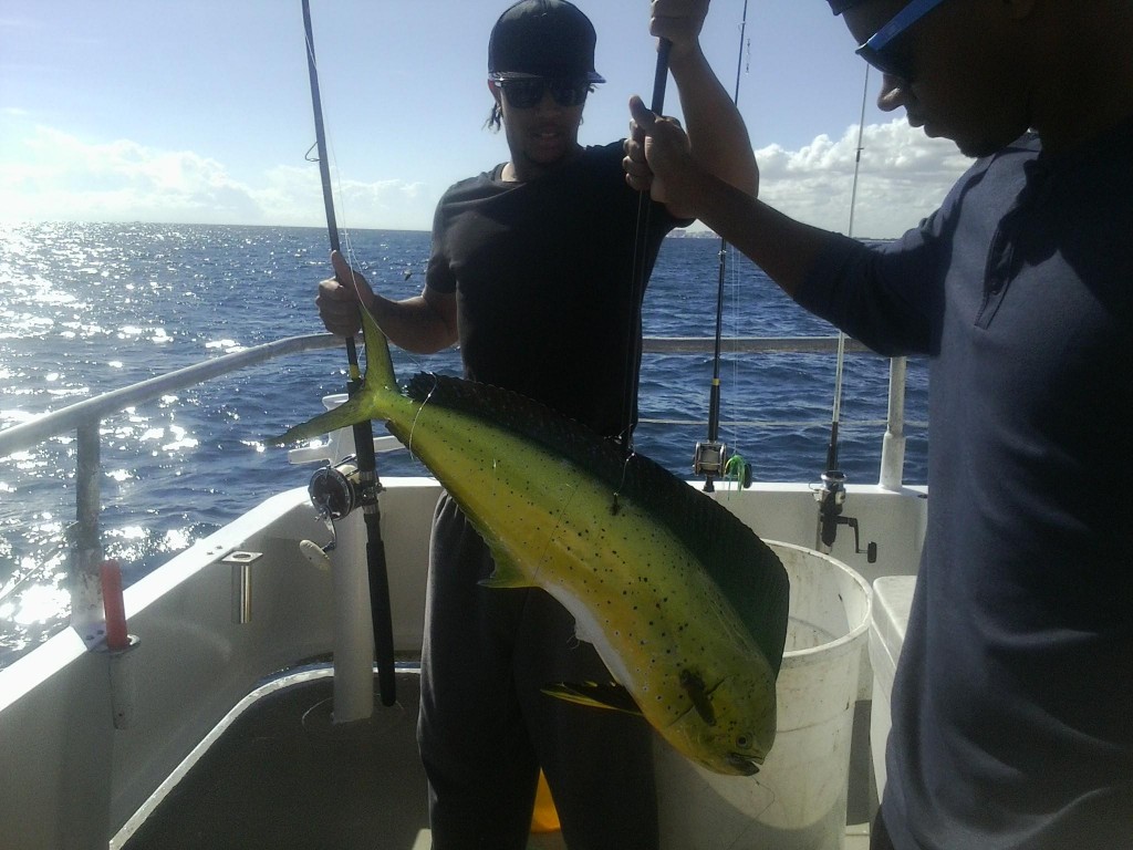 Nice dolphin just caught on the Catch My Drift