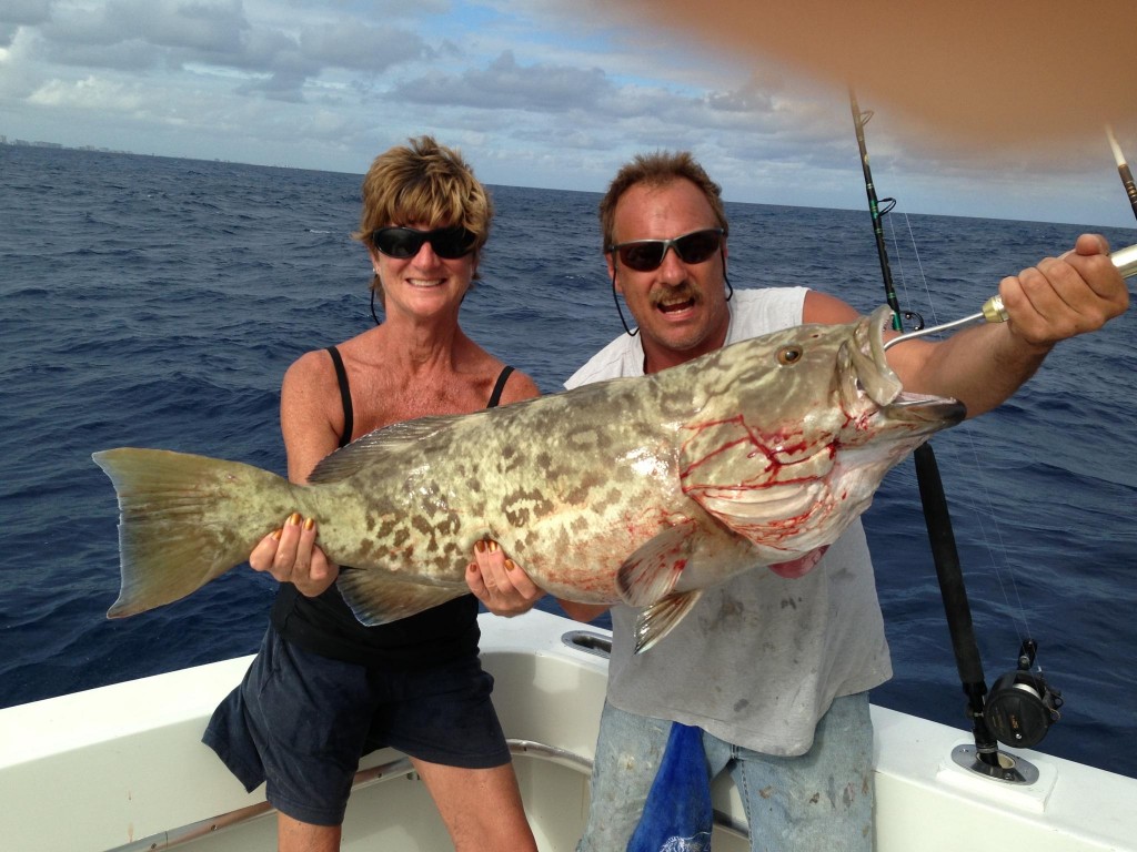 Monster gag grouper caught deep dropping
