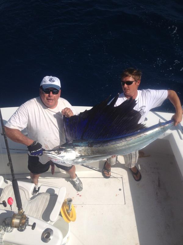 another big sailfish just caught in Ft Lauderdale