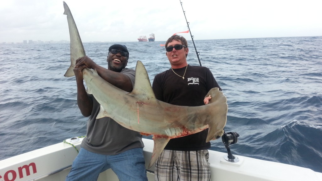 catch and release hammerhead shark