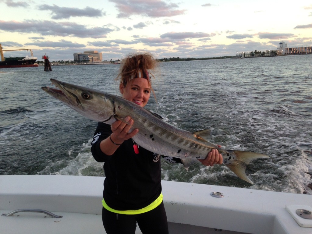 Monster barracuda caught inshore fishing in Fort Lauderdale