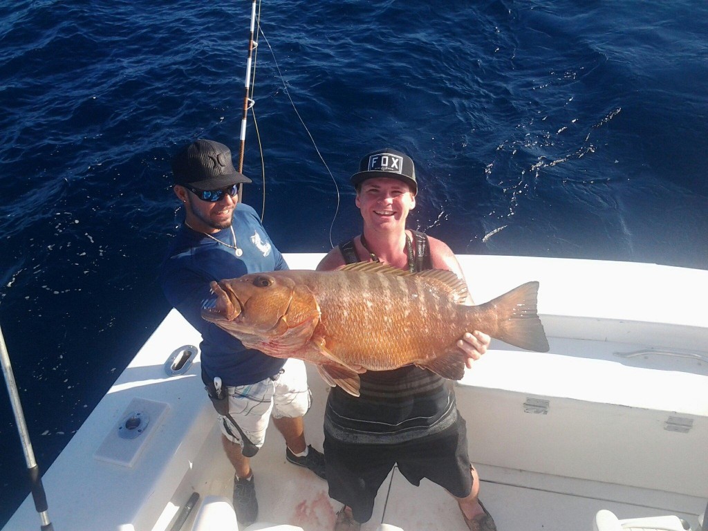 Nice cubera snapper caught deep dropping
