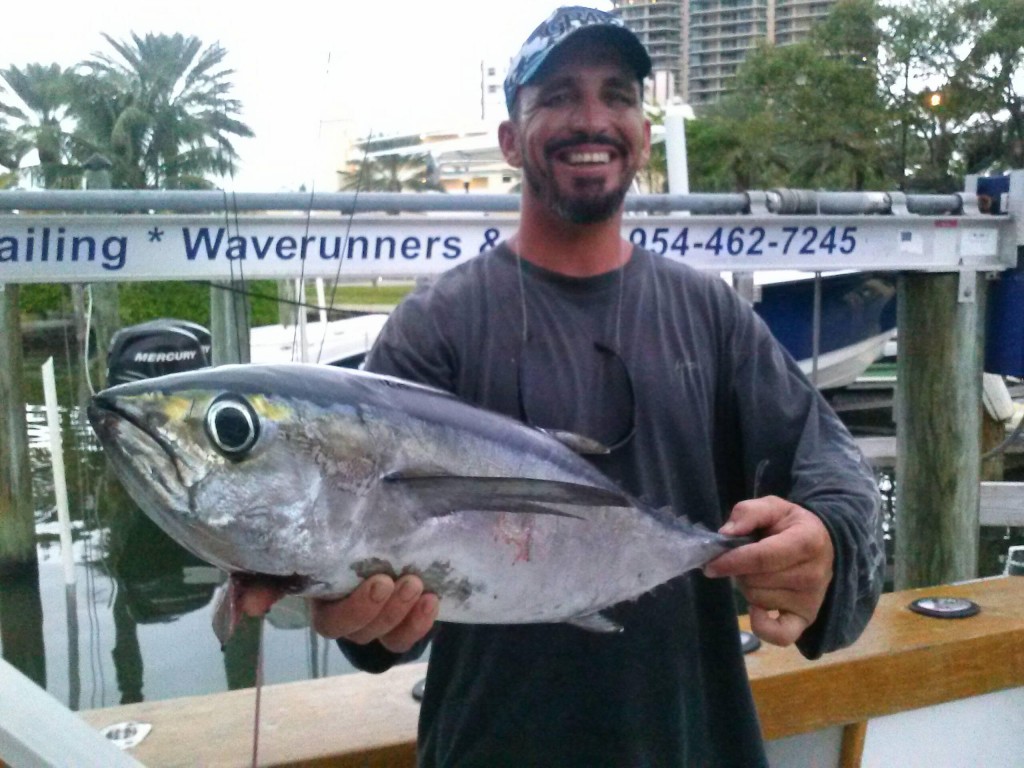 Nice blackfin tuna at the dock