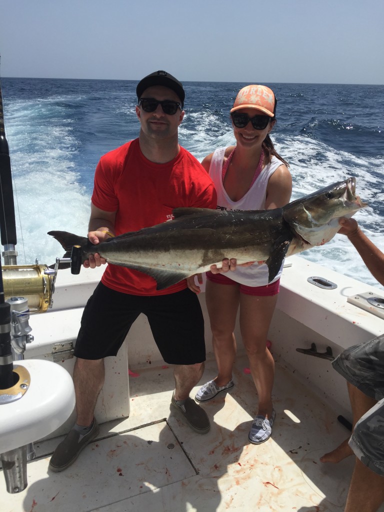 Nice cobia in the boat