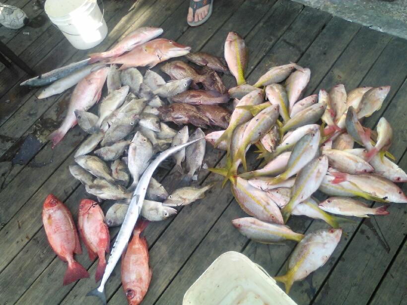 Nice pile of fish on the dock after a trip