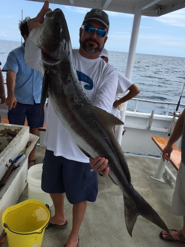 Nice cobia in the boat.