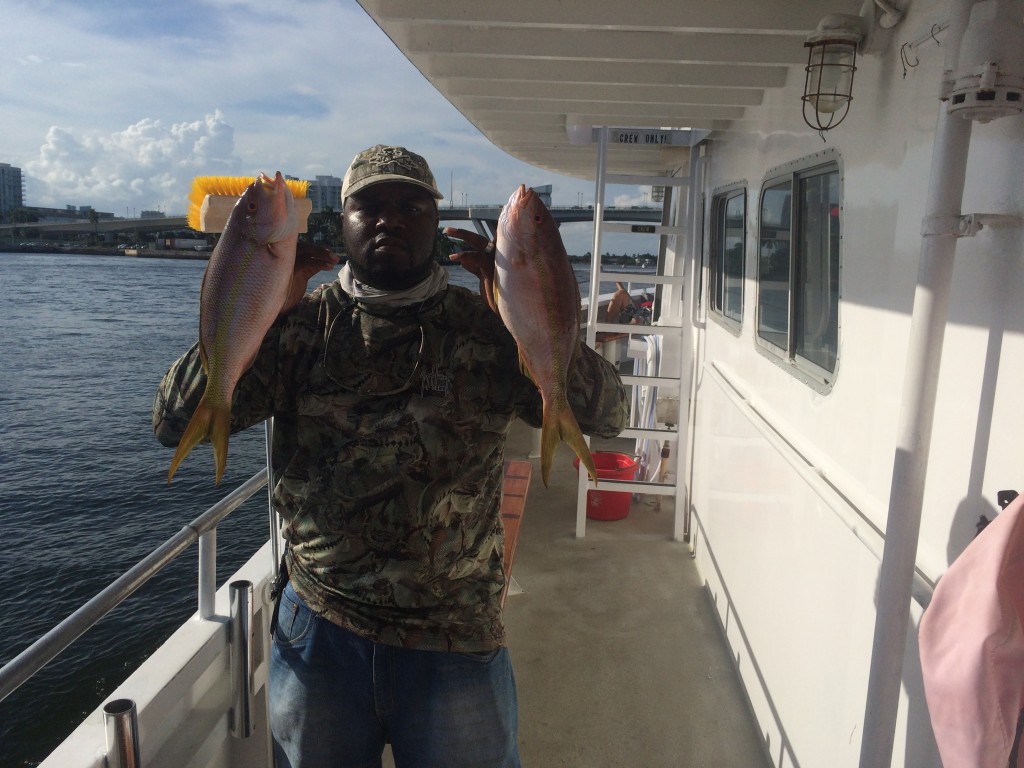 Yellowtail snappers are biting