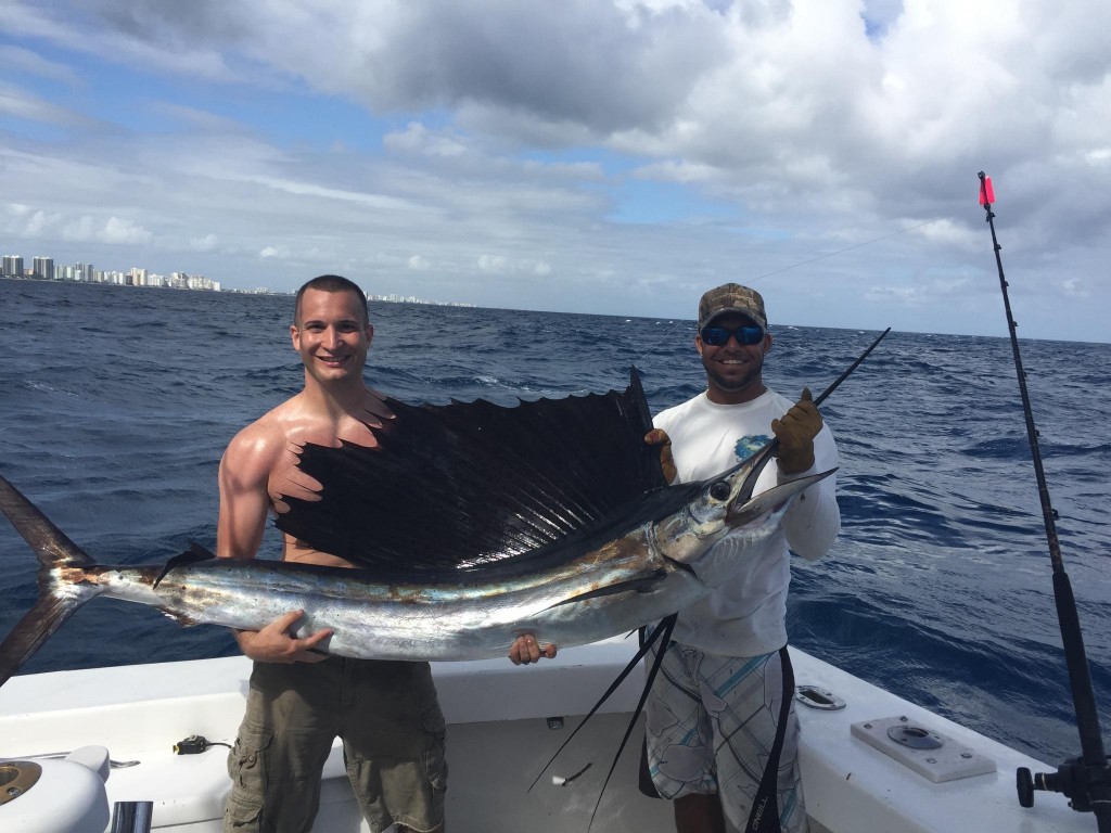 Nice sailfish just caught in Fort Lauderdale