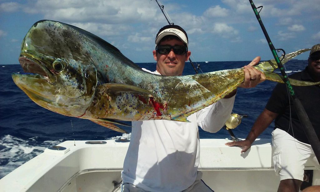 Guy holding a big dolphin just caught on our sport fishing charter