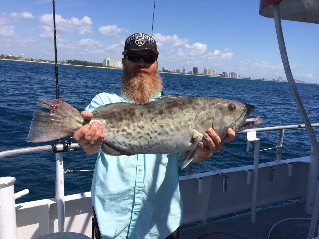 Nice gag grouper caught a mile offshore Ft Lauderdale