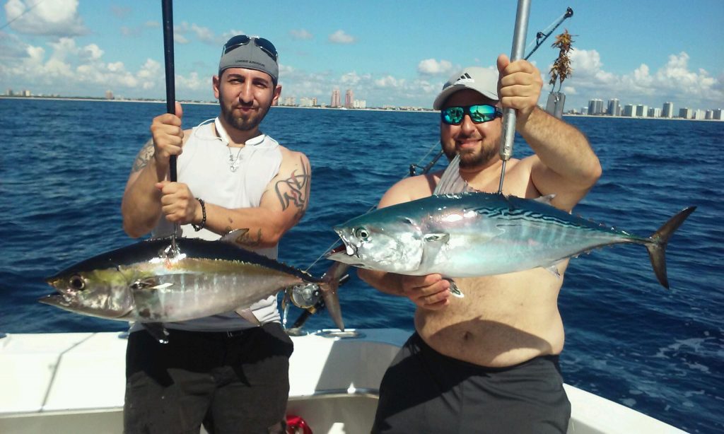 Nice tuna and bonito just caught trolling the Ft Lauderdale reef.