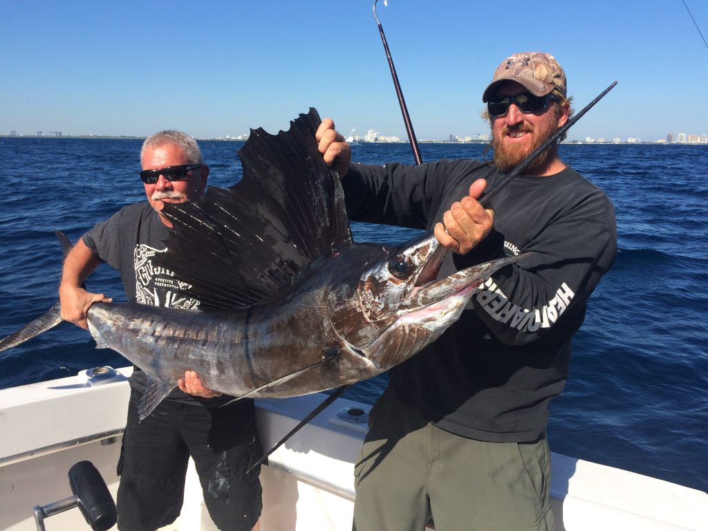Nice sailfish being held by a lucky angler who just caught it.