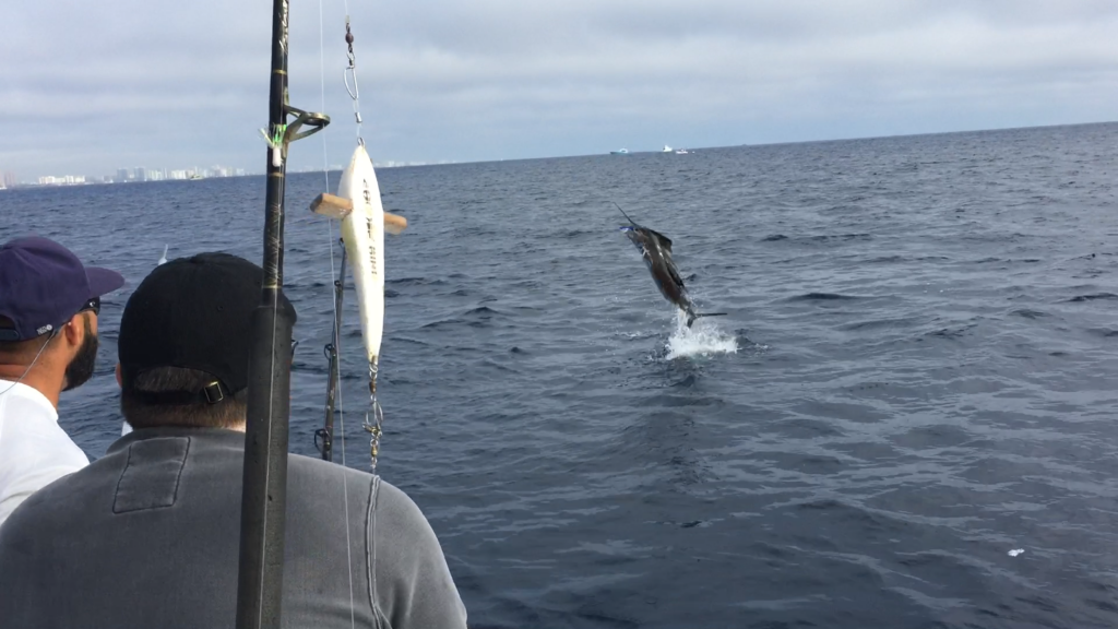 Awesome picture of a sailfish jumping behind the boat