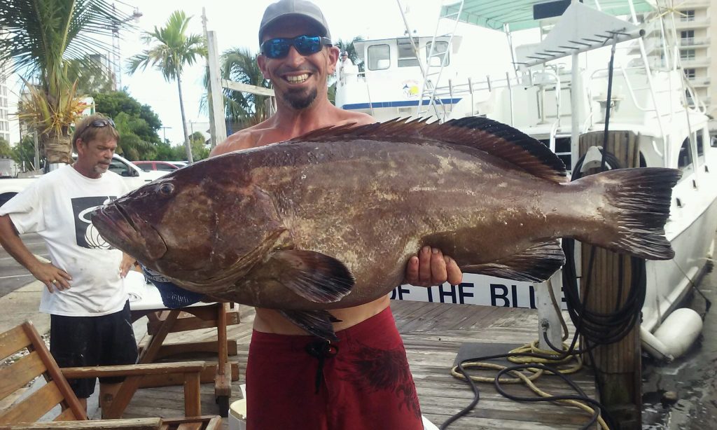 Mick holding an approximately 65 pound grouper at the dock